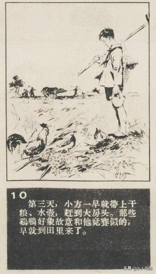 小方爱社-选自《连环画报》1958年8月第十五期